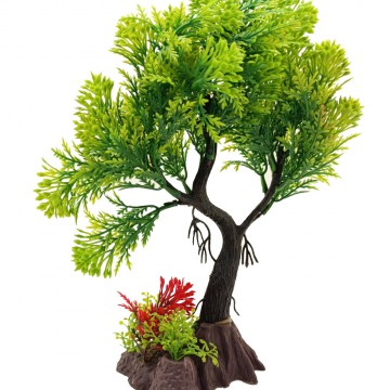 Фото2.Рослина,  8х19х26 см